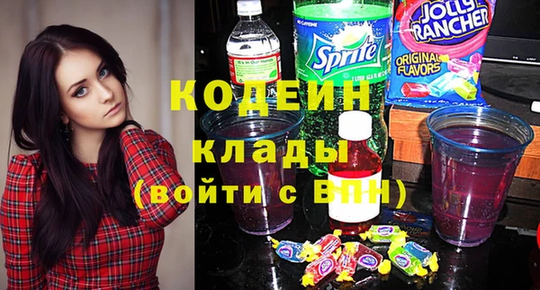 дурь Пересвет
