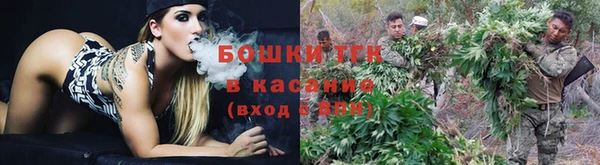 прущая мука Бородино