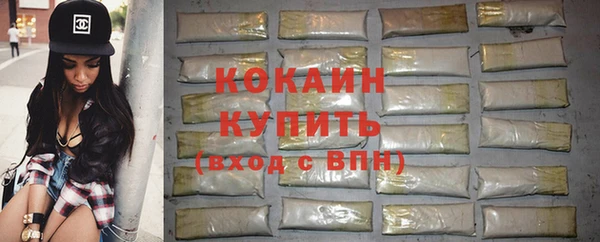 дурь Пересвет
