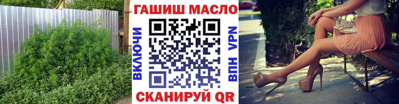 как найти закладки Закаменск ТГК THC oil
