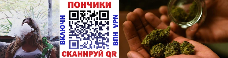 Конопля план  Закаменск 